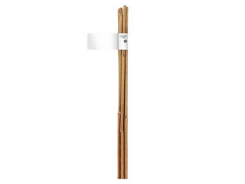 Nortène - Tuteur de jardin bambou naturel H 210 cm - NORTENE - Image 1