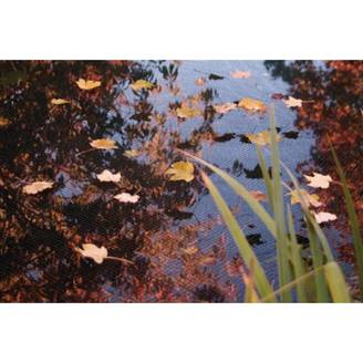 Ubbink - Filet de protection bassin PE noir – TEICHO
