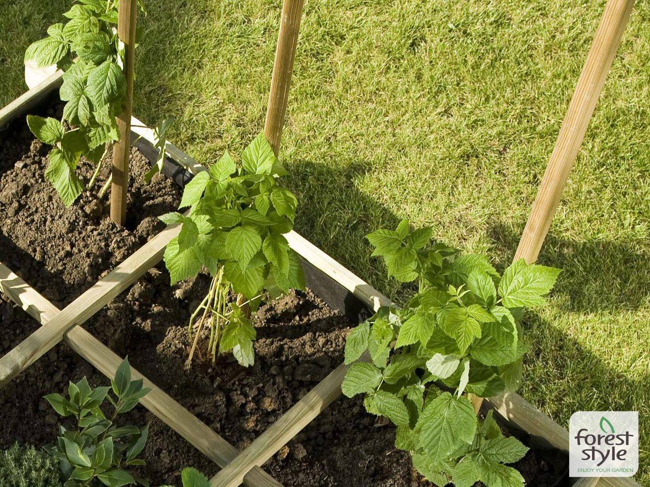 Cerland - Tuteur Plantes Bois Traité Ø 6 cm H 150 cm - Cerland - Image 3