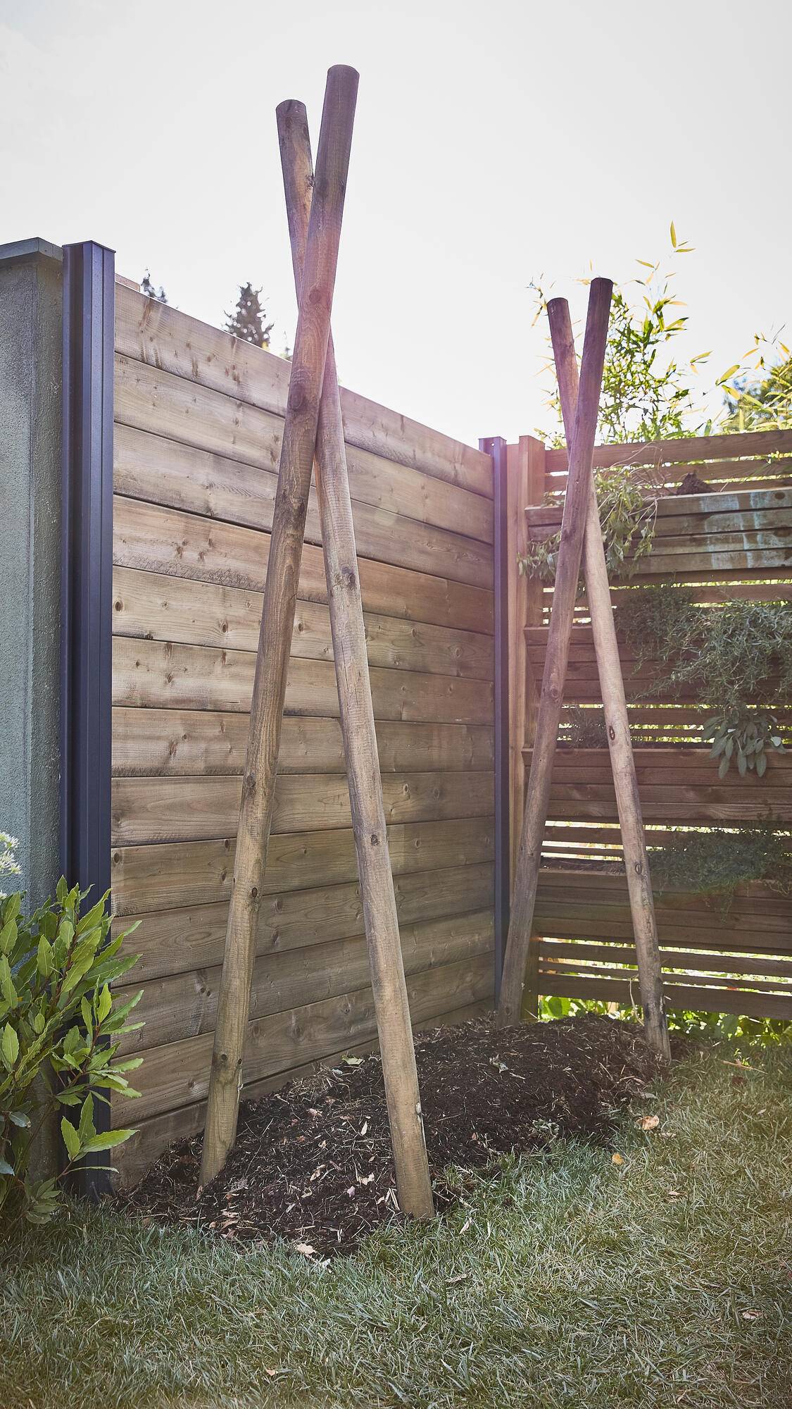 Cerland - Tuteur Bois Fraisé Pin – Cerland - Image 4