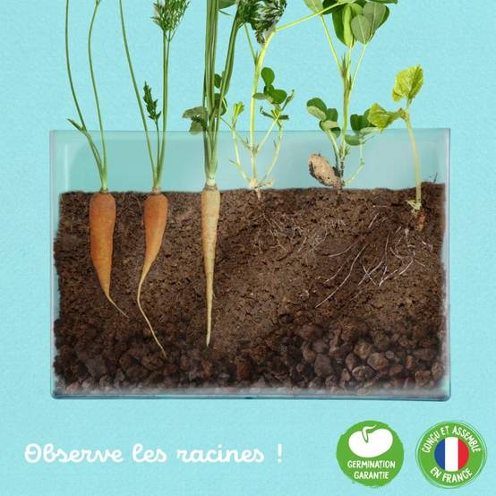 Vivarium Transparent - EXPLORE NATURE - Image 3