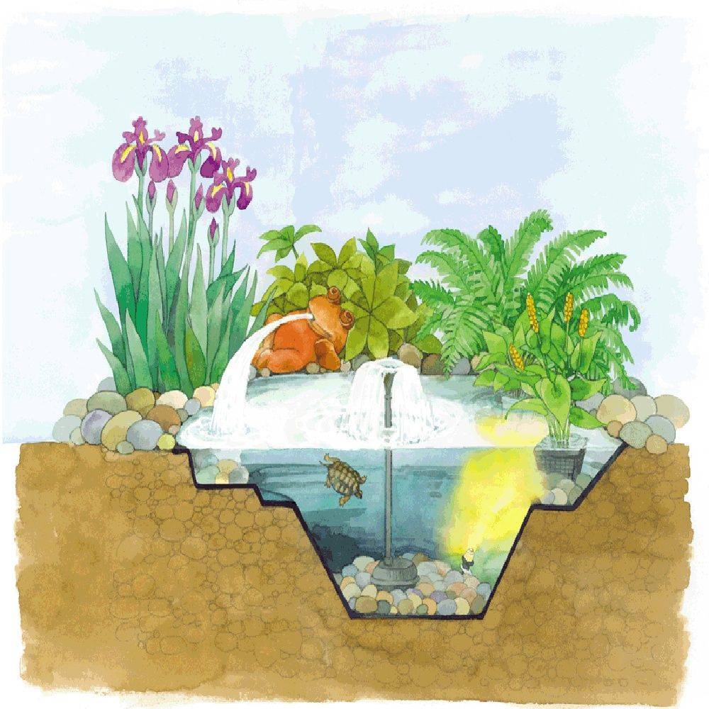 Bassin préformé Start 500 L - OASE - Image 6