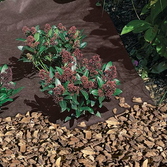 Nortène - ANTIHERBAS GEOTEX  Feutre  paillage PP non tissé  Marron 1,60x10m - Image 1