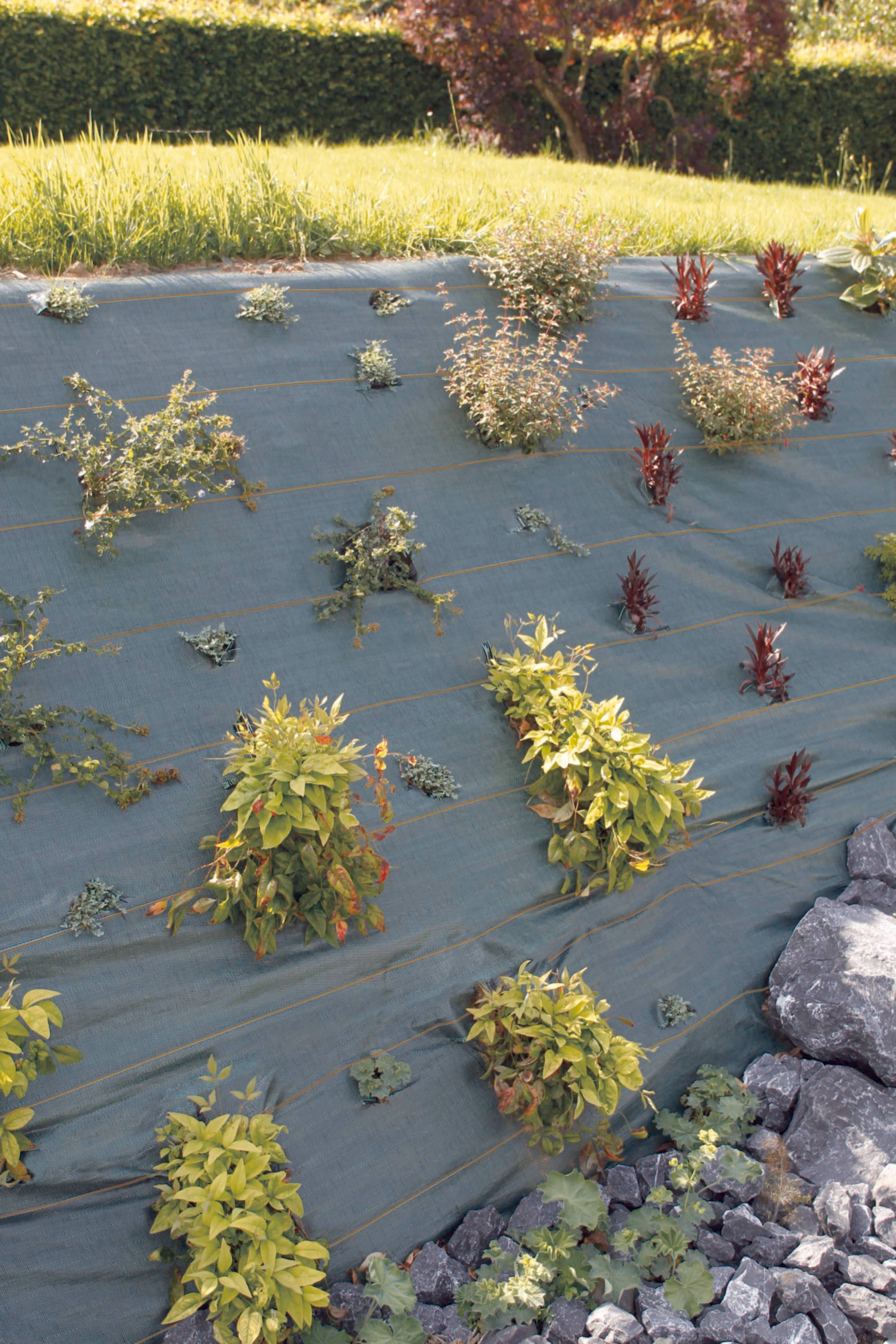 Nortène - Toile de Paillage - AGROSOL - Image 3