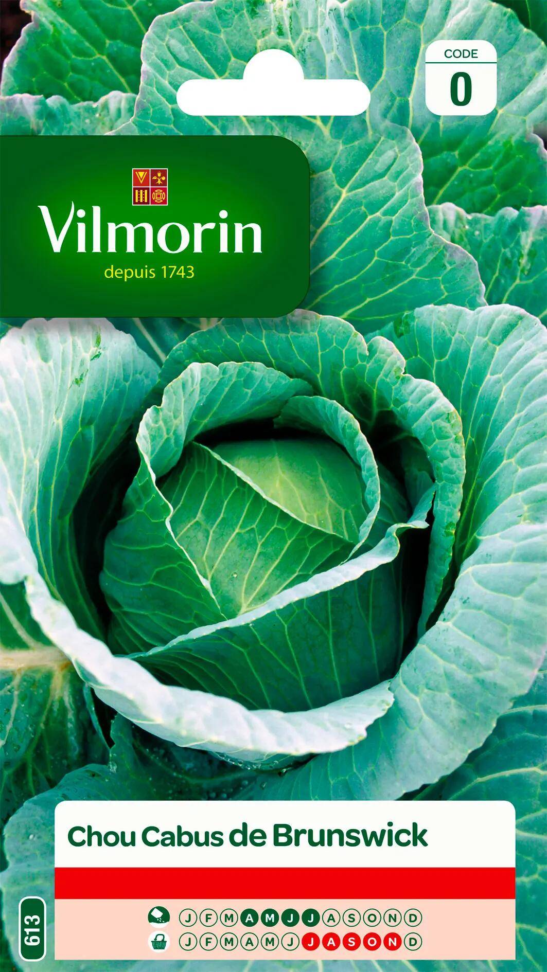Vilmorin - Chou pommé de Brunswick série 0 sachet graines 2 g - Vilmorin