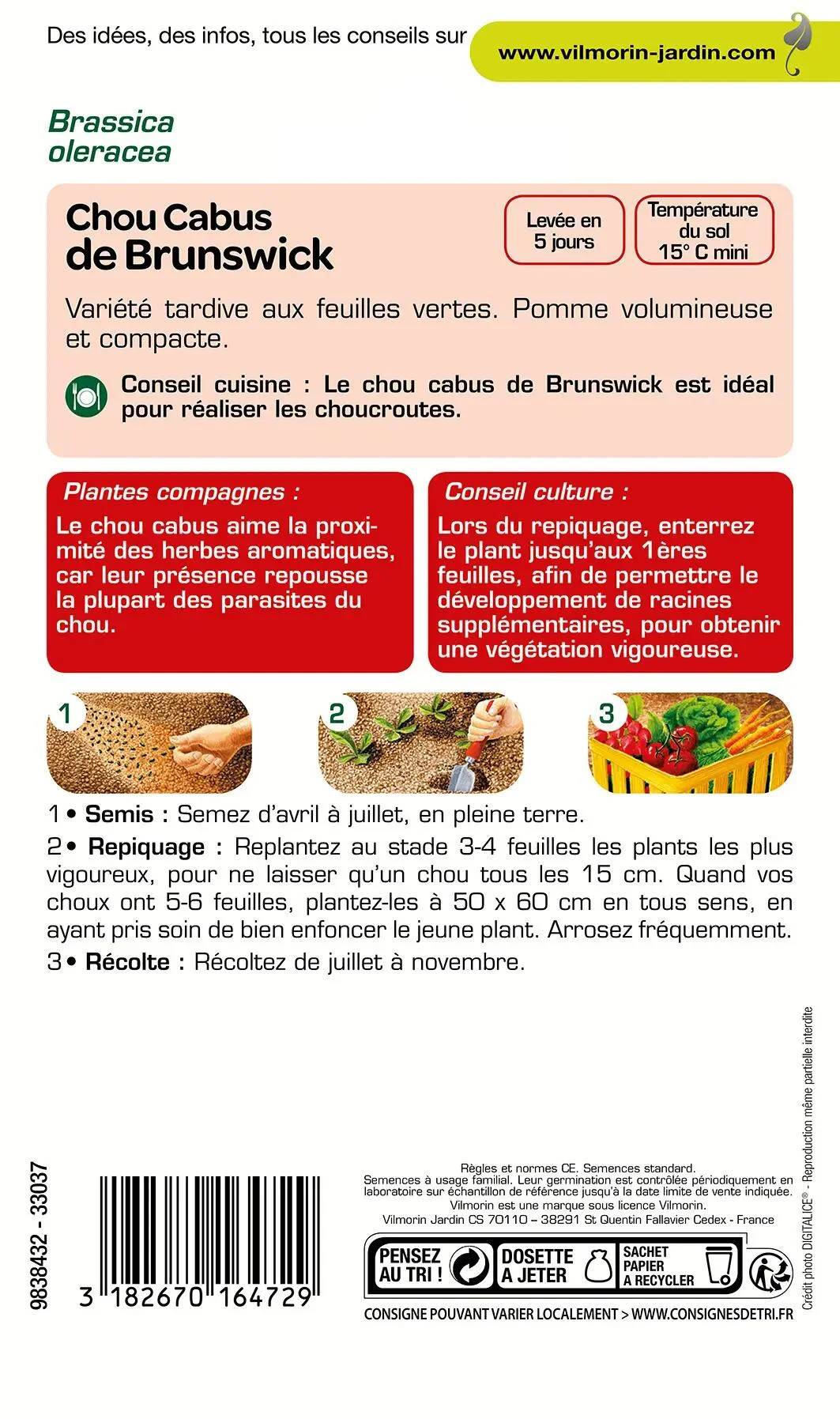Vilmorin - Chou pommé de Brunswick série 0 sachet graines 2 g - Vilmorin - Image 1