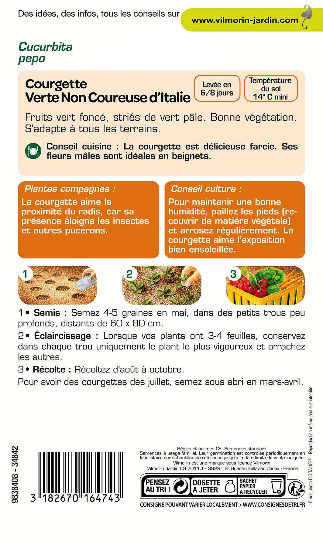 Vilmorin - Courgette non coureuse d Italie série 0 sachet graines 4 g - Vilmorin - Image 3