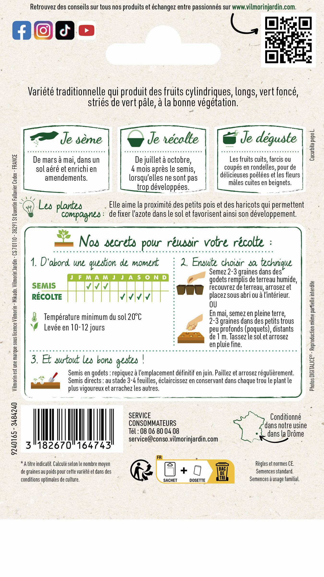 Vilmorin - Courgette non coureuse d Italie série 0 sachet graines 4 g - Vilmorin - Image 4