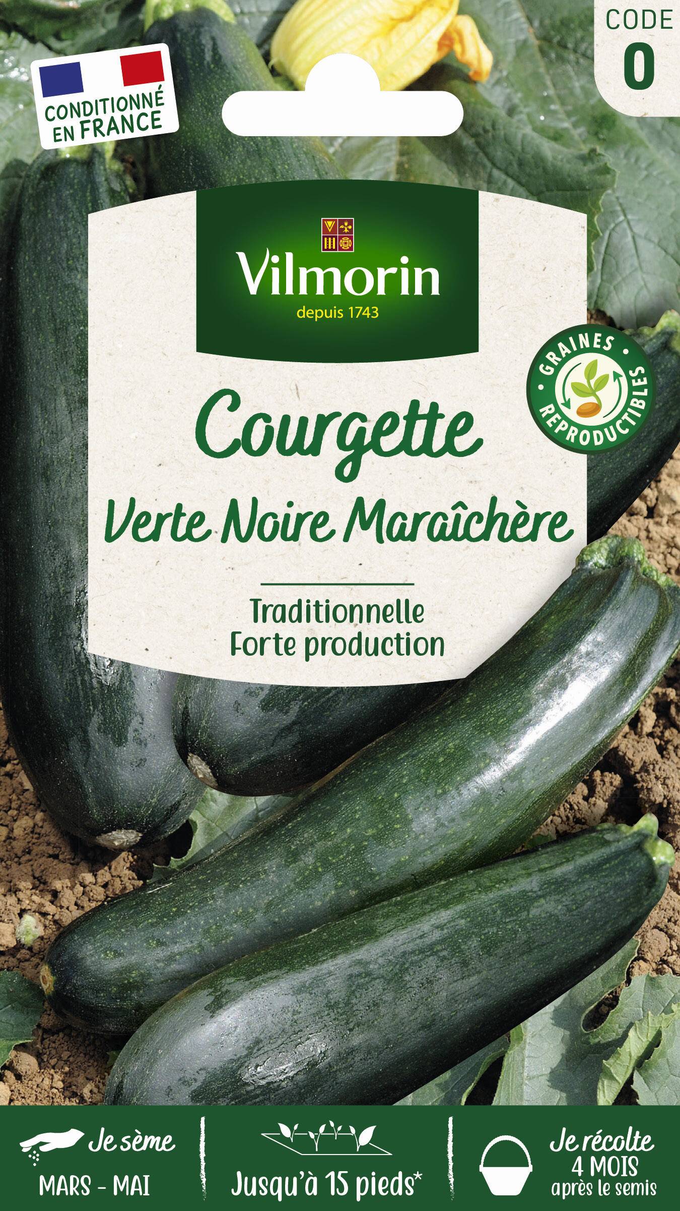 Vilmorin - Courgette verte noire maraichère série 0 sachet graines 4 g - Vilmorin - Image 2