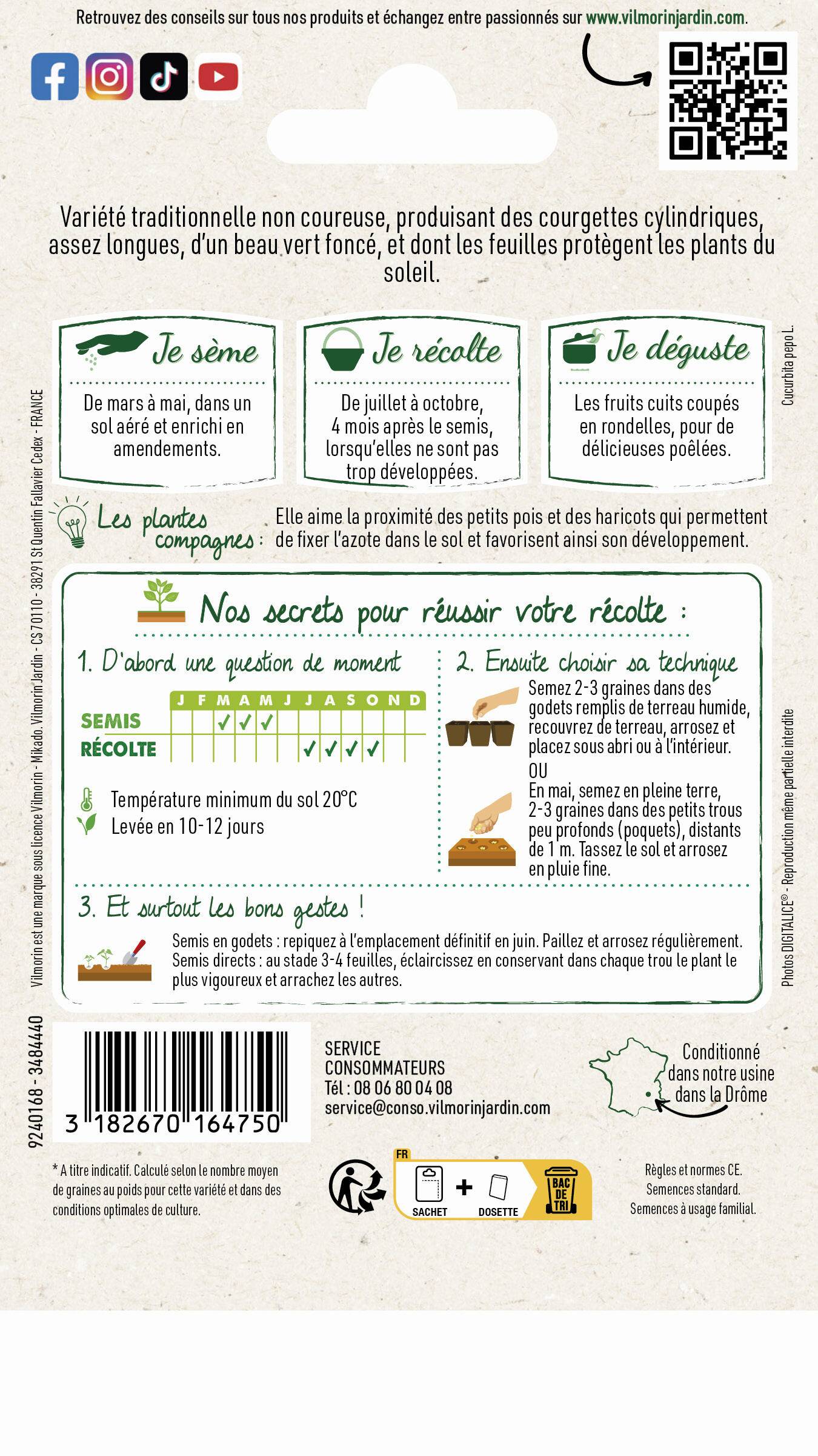Vilmorin - Courgette verte noire maraichère série 0 sachet graines 4 g - Vilmorin - Image 4