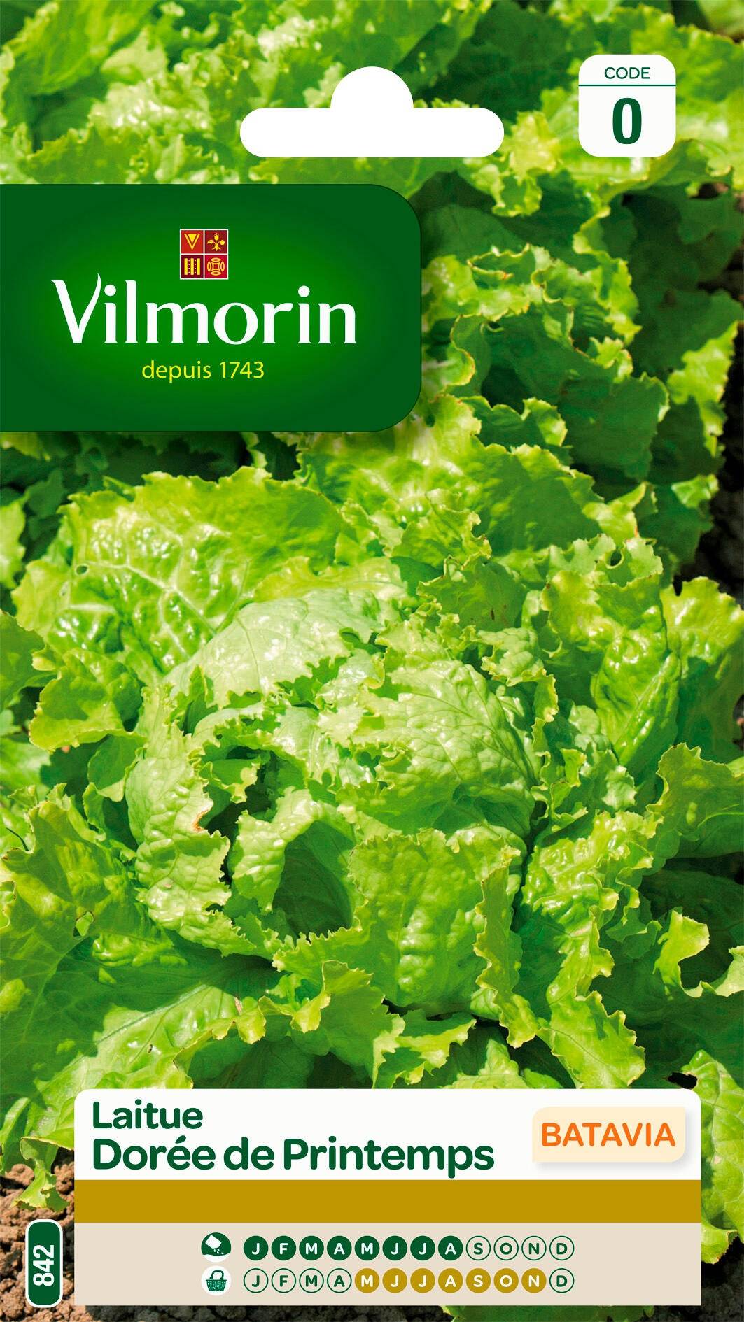 Vilmorin - Laitue batavia dorée de printemps série 0 sachet graines 3 g - Vilmorin - Image 1
