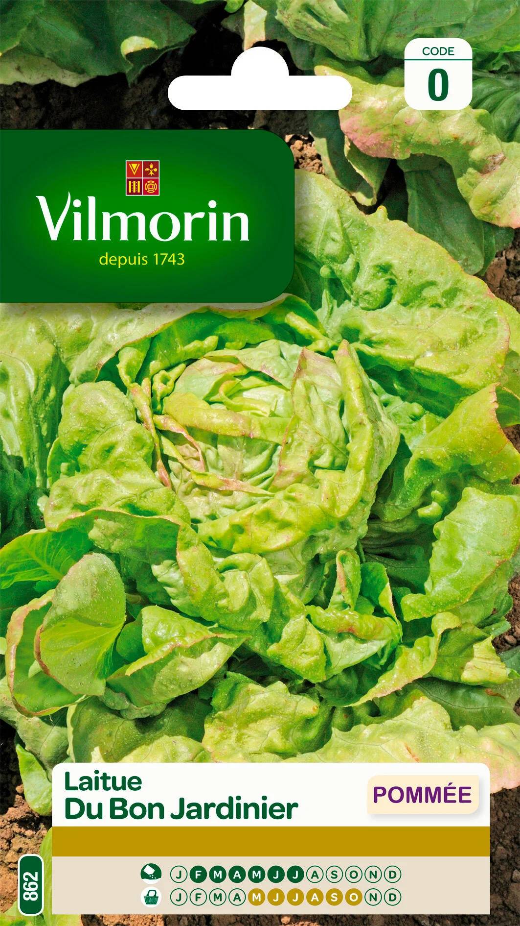 Vilmorin - Laitue pommée du bon jardinier série 0 sachet graines 3 g - Vilmorin - Image 3