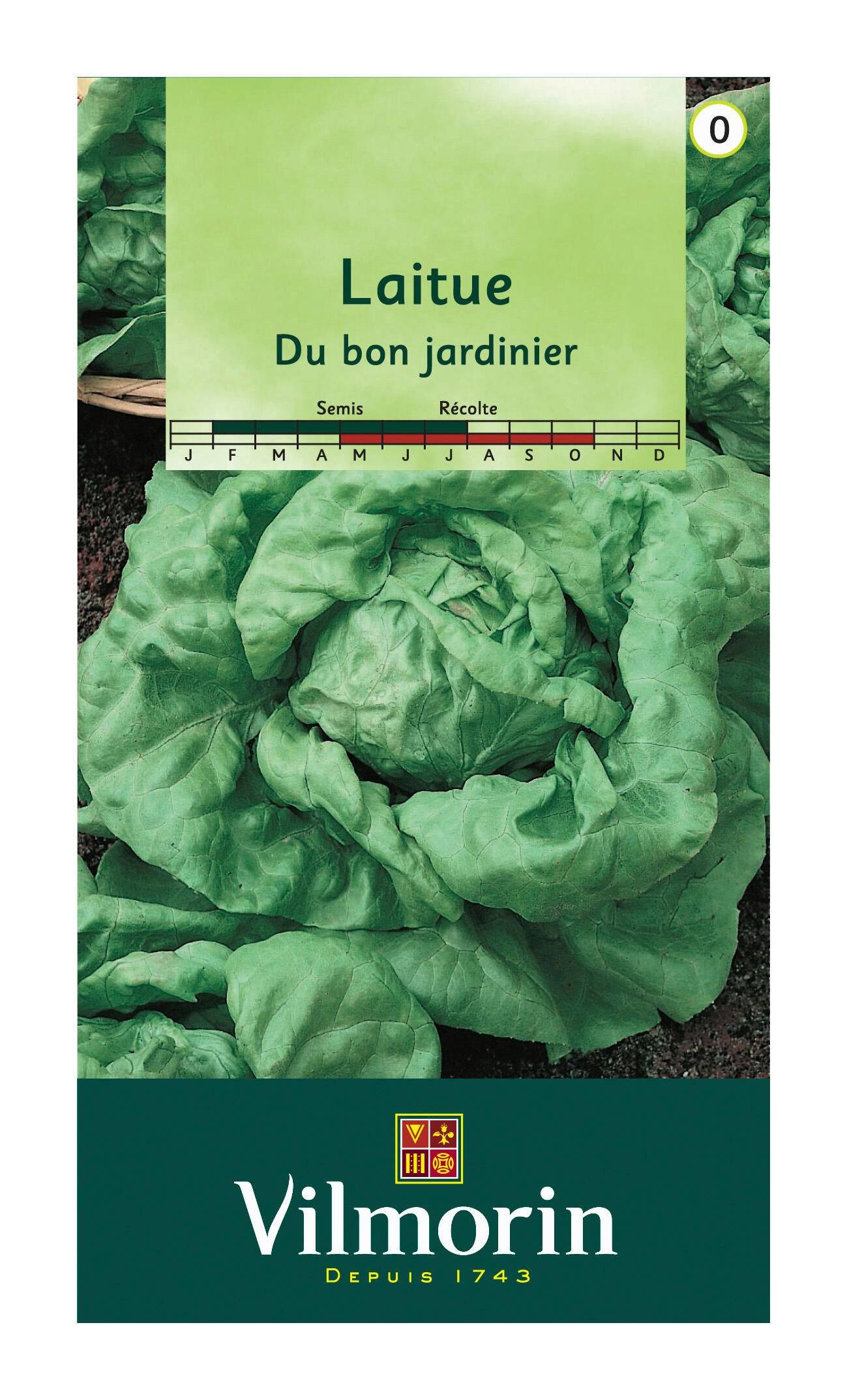 Vilmorin - Laitue pommée du bon jardinier série 0 sachet graines 3 g - Vilmorin - Image 1