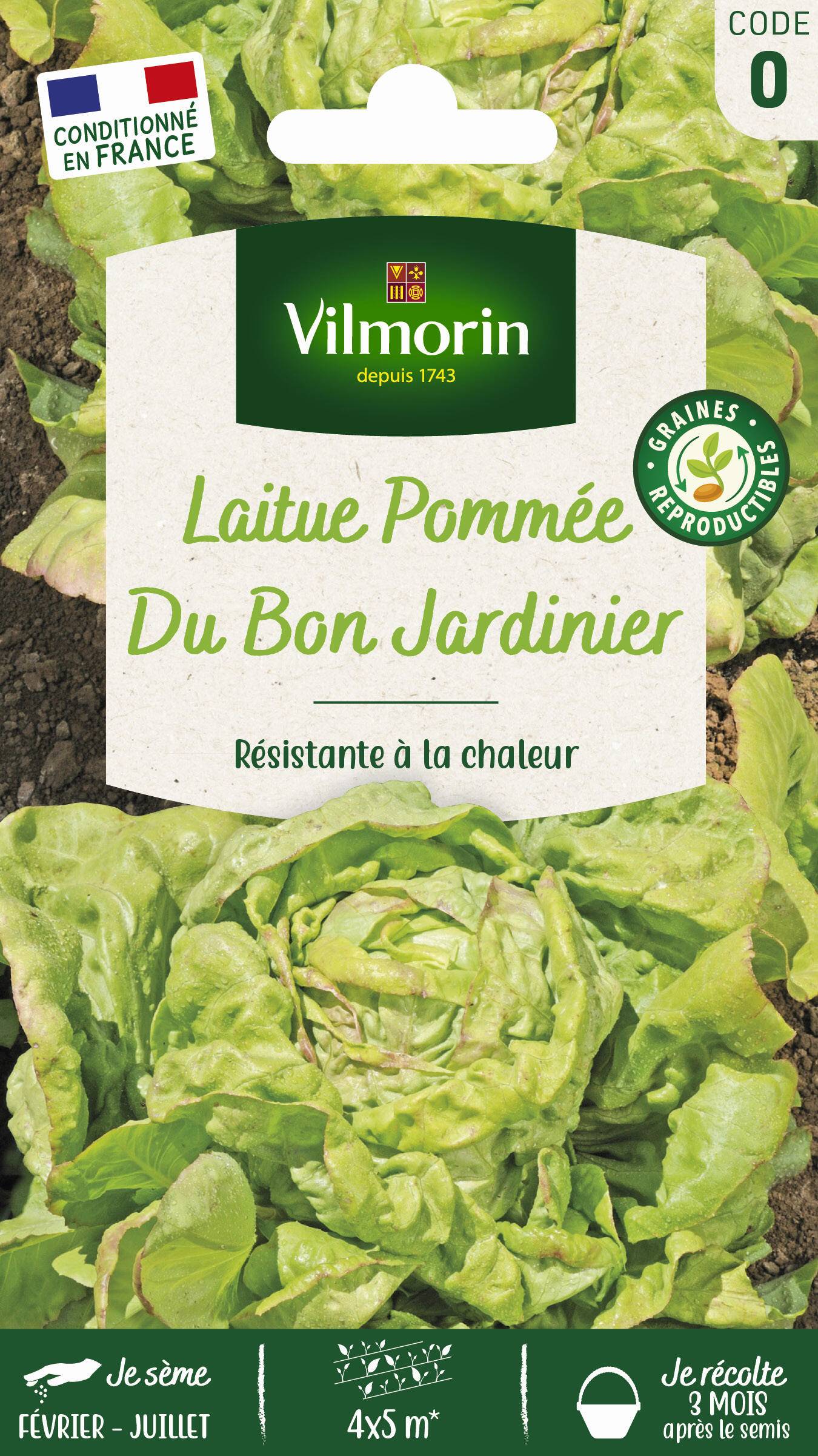 Vilmorin - Laitue pommée du bon jardinier série 0 sachet graines 3 g - Vilmorin - Image 2