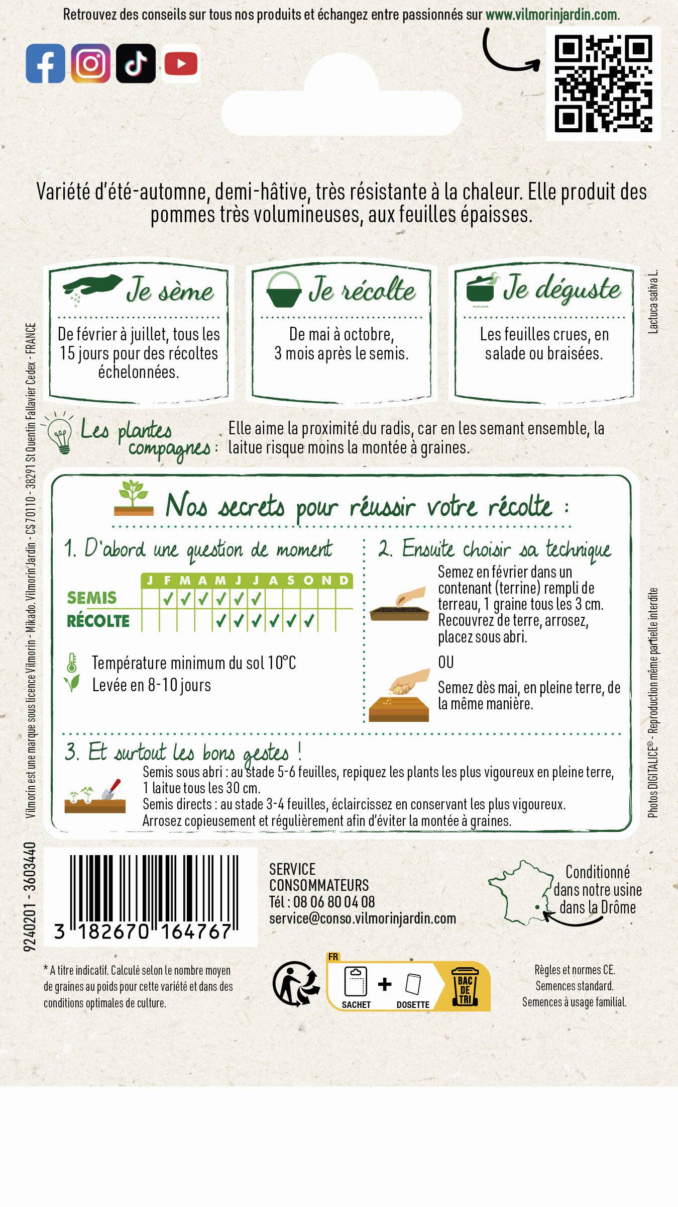 Vilmorin - Laitue pommée du bon jardinier série 0 sachet graines 3 g - Vilmorin - Image 4