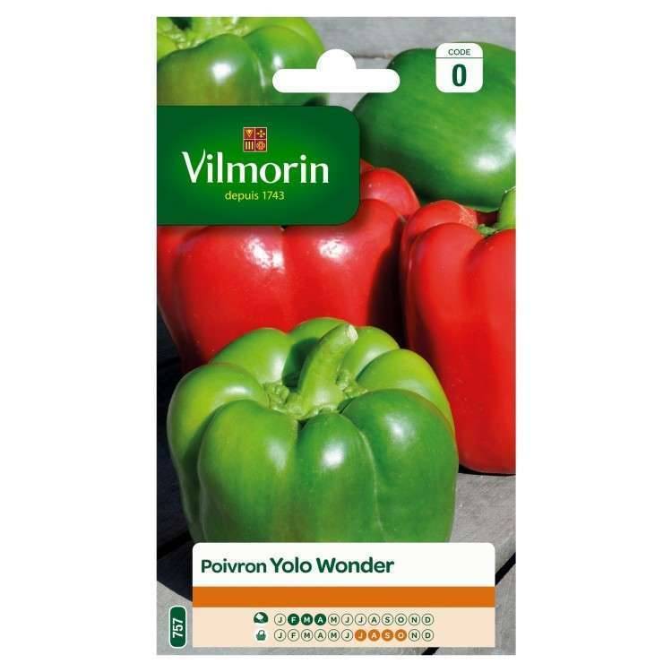 Vilmorin - Poivron Yolo Wonder série 0 sachet graines 1,5 g - Vilmorin - Image 1