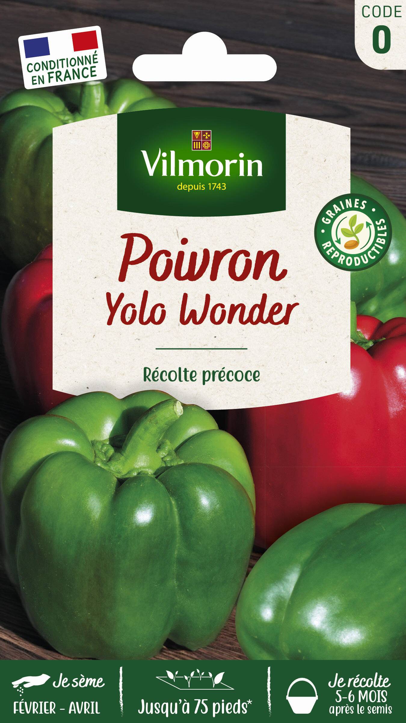 Vilmorin - Poivron Yolo Wonder série 0 sachet graines 1,5 g - Vilmorin - Image 2