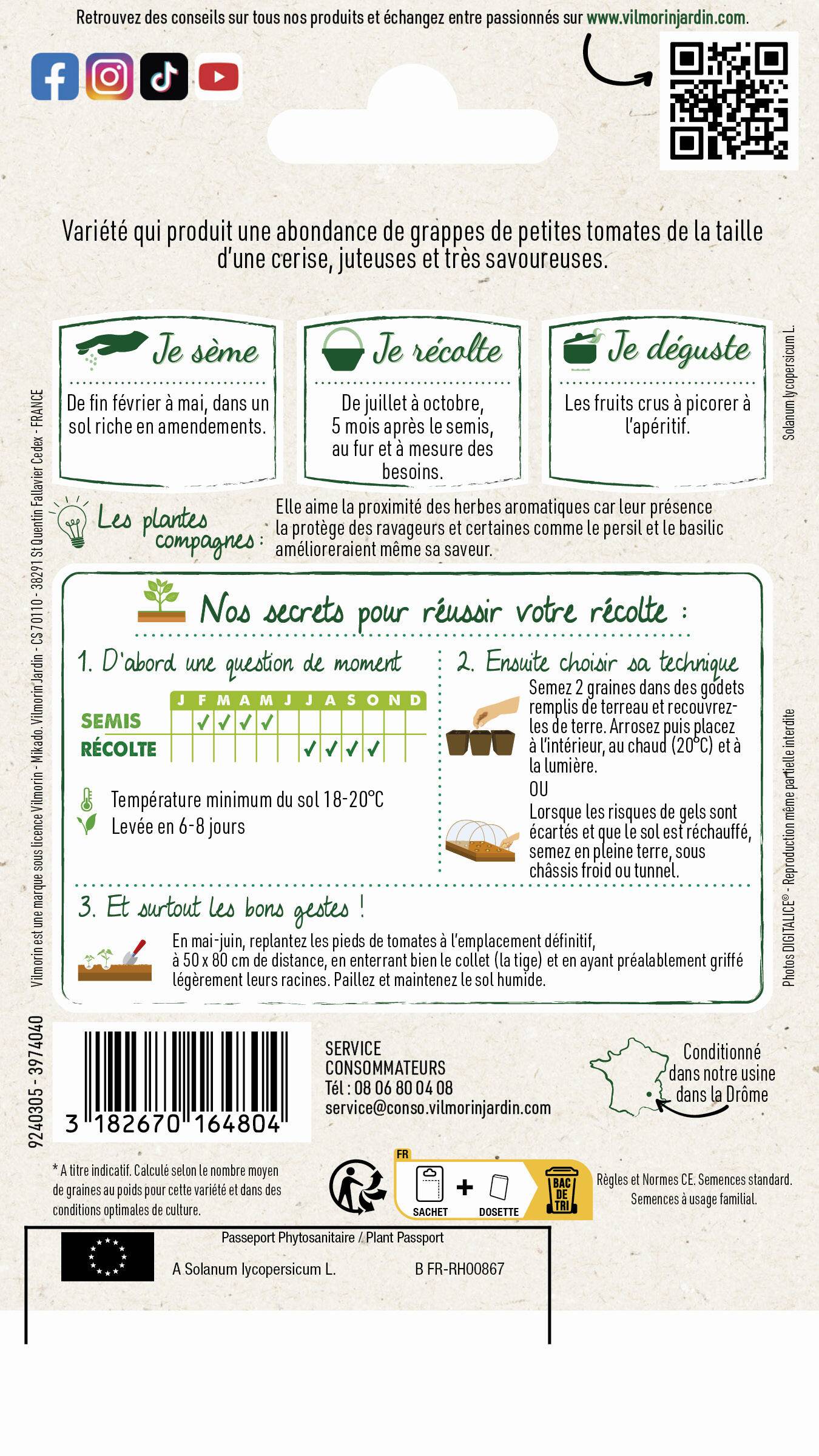 Vilmorin - Tomate cerise série 0 sachet graines 0,2 g - Vilmorin - Image 4