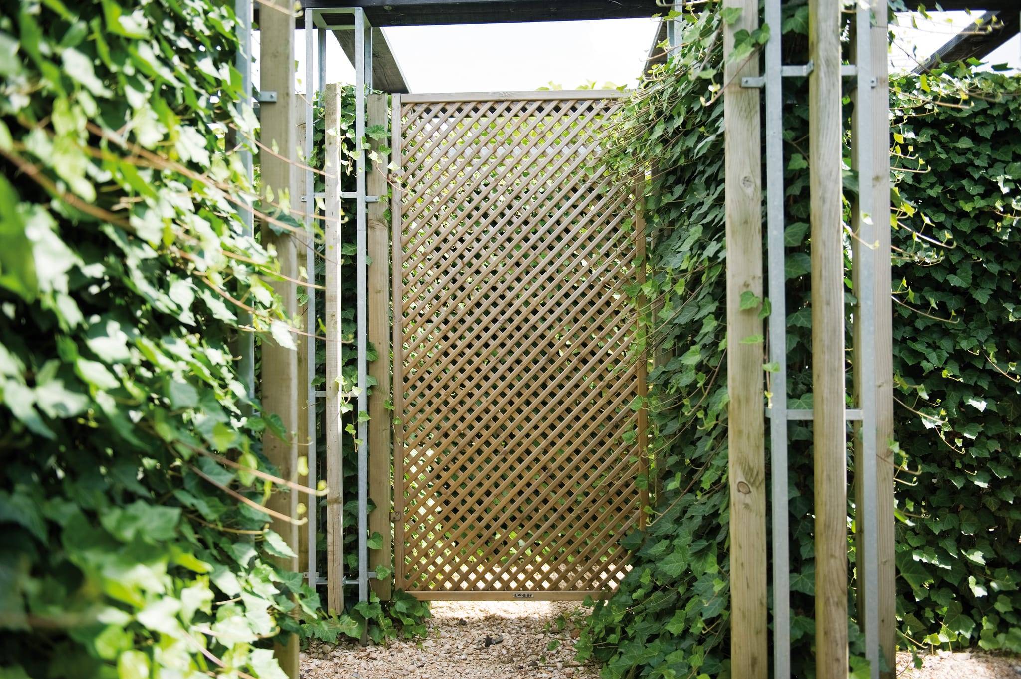 Hillhout - Panneau treillis Jasmin - L.90 x l.2,8 x H.180 cm - Image 2