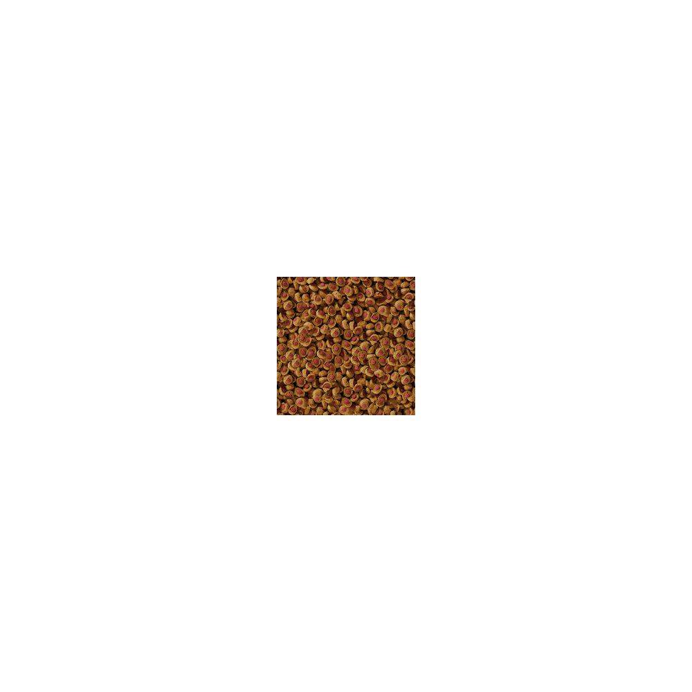 Nourriture pour Carpe Koi Professional Eté 2,2 kg Sera - Image 2