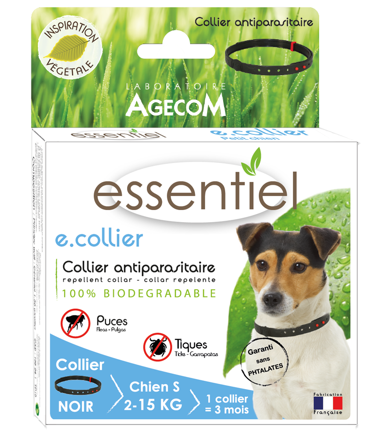 Collier Petit Chien Essentiel - E - Image 1