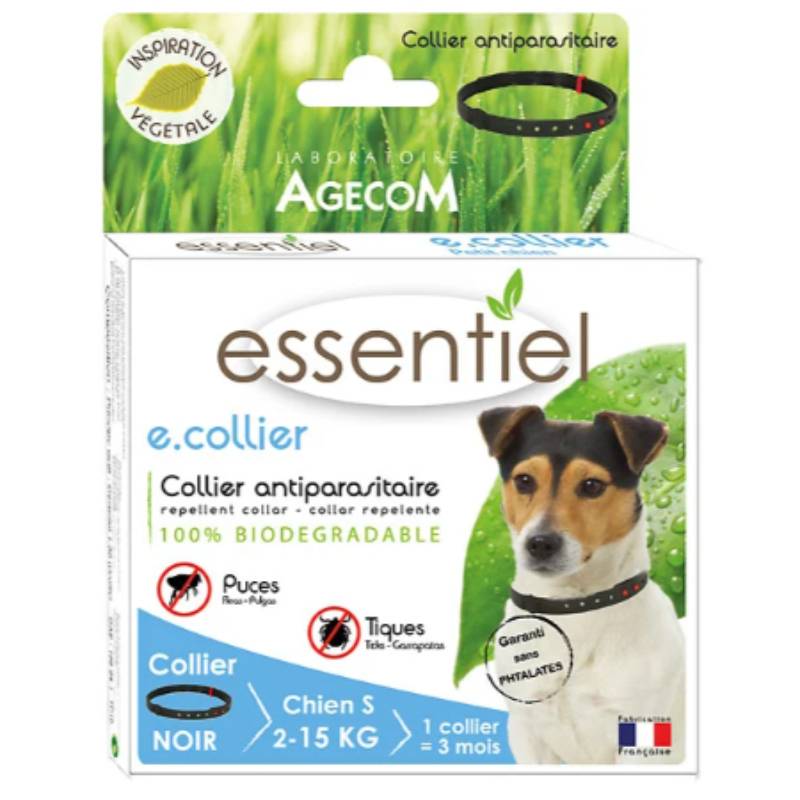 Collier Petit Chien Essentiel - E - Image 3