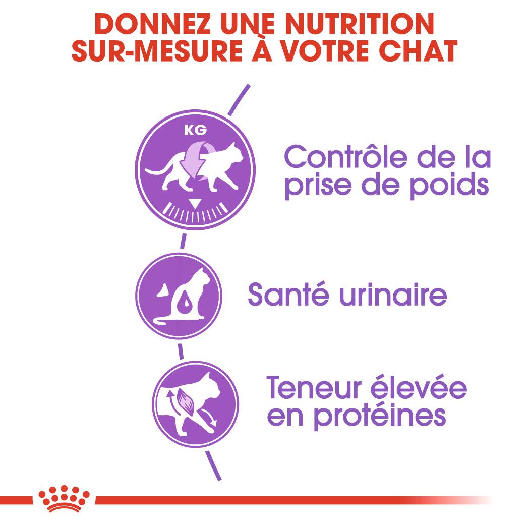 Royal Canin - Croquettes chat adulte stérilisé 400 g ROYAL CANIN - Image 5