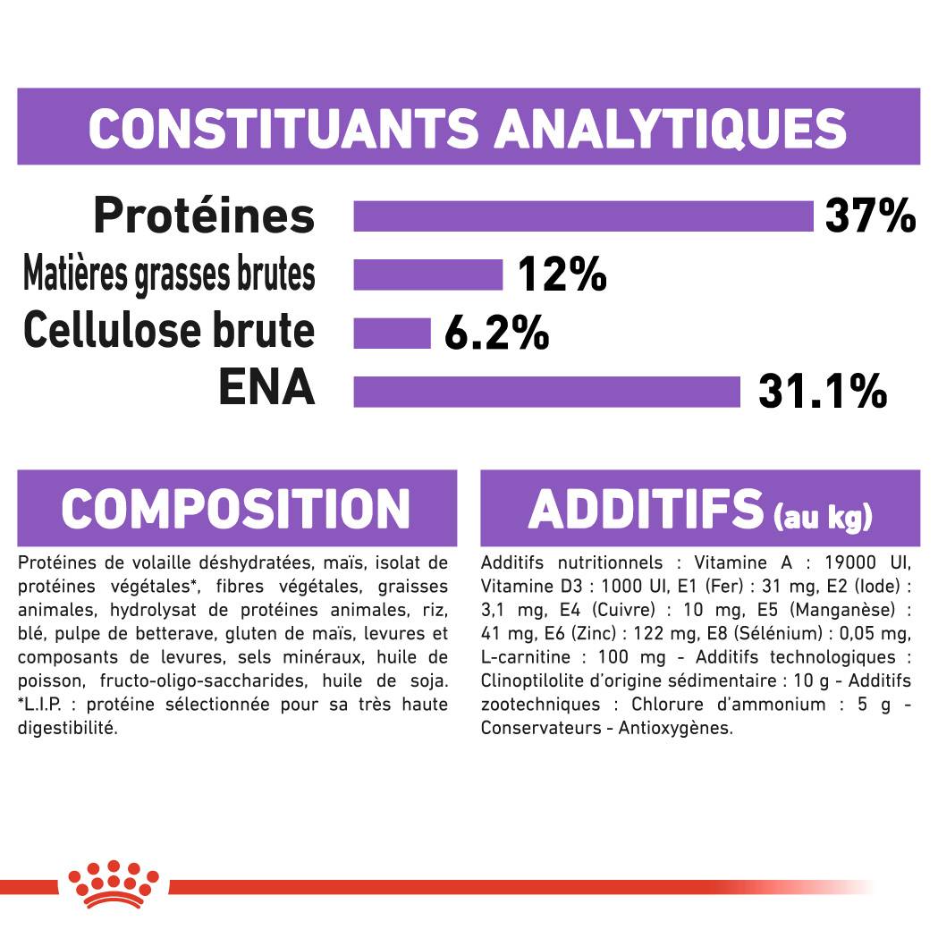Royal Canin - Croquettes chat adulte stérilisé 400 g ROYAL CANIN - Image 4