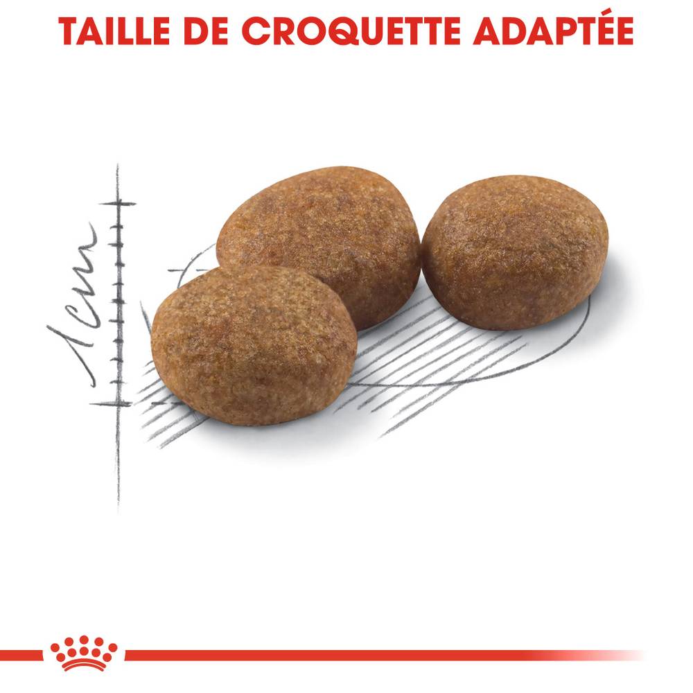 Royal Canin - Croquettes Regular Sterilised 37 - Royal Canin® - Image 2