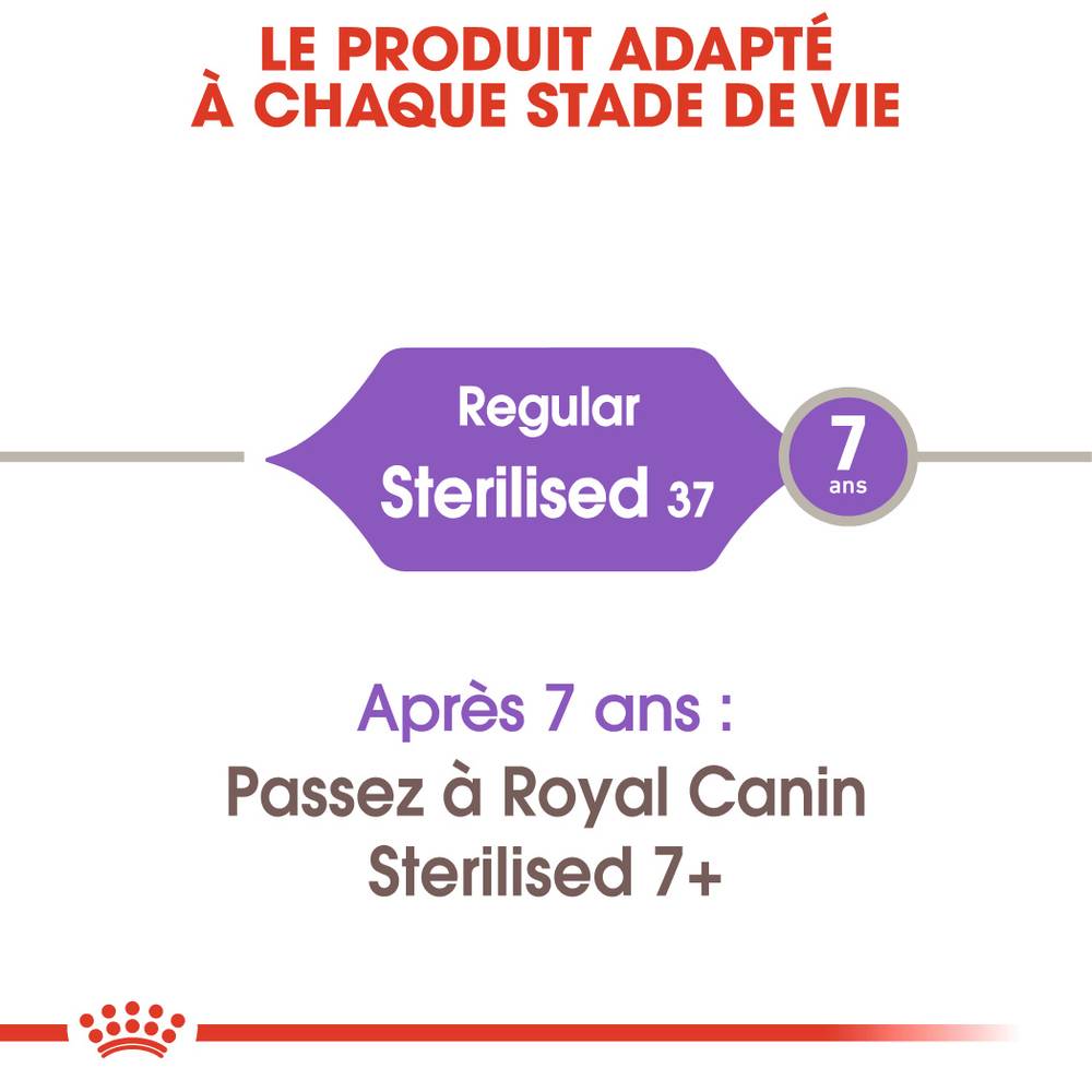 Royal Canin - Croquettes Regular Sterilised 37 - Royal Canin® - Image 5