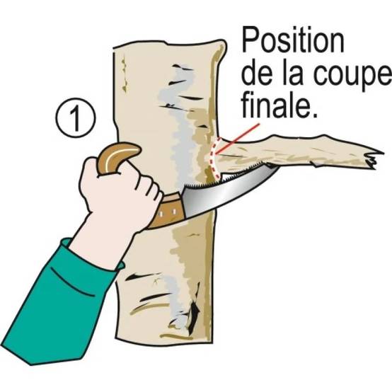 Bahco - Scie Arboricole Modèle 4212 - Image 5