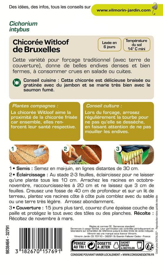 Vilmorin - Chicorée witloof endive de Bruxelles série 2 sachet graines 2 g - Vilmorin - Image 2