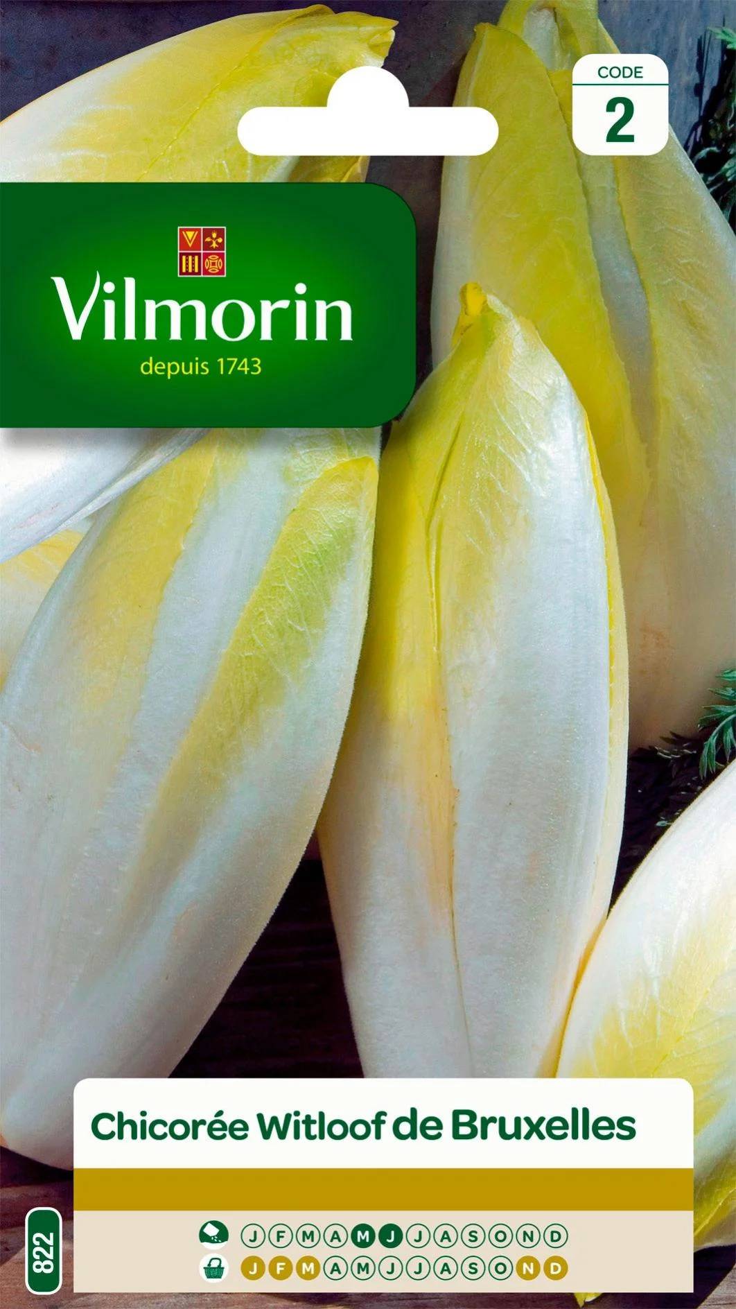 Vilmorin - Chicorée witloof endive de Bruxelles série 2 sachet graines 2 g - Vilmorin - Image 1