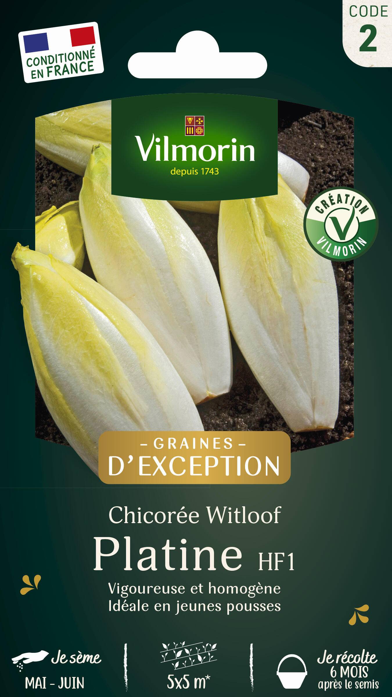 Vilmorin - Chicorée witloof endive de Bruxelles série 2 sachet graines 2 g - Vilmorin - Image 3