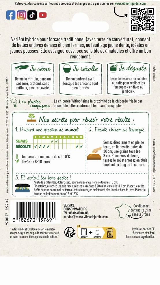 Vilmorin - Chicorée witloof endive de Bruxelles série 2 sachet graines 2 g - Vilmorin - Image 4