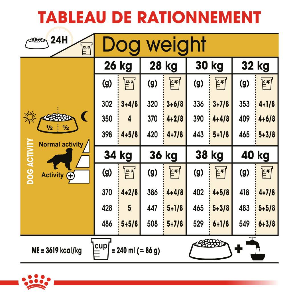 Royal Canin - Croquettes Golden Retriever Adulte - ROYAL CANIN - Image 6