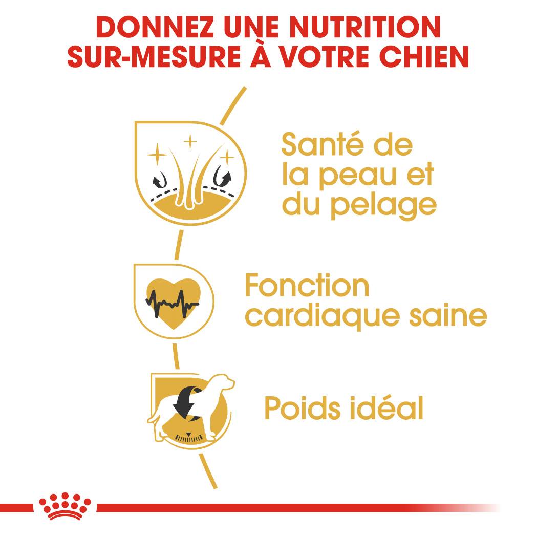 Royal Canin - Croquettes Golden Retriever Adulte - ROYAL CANIN - Image 8