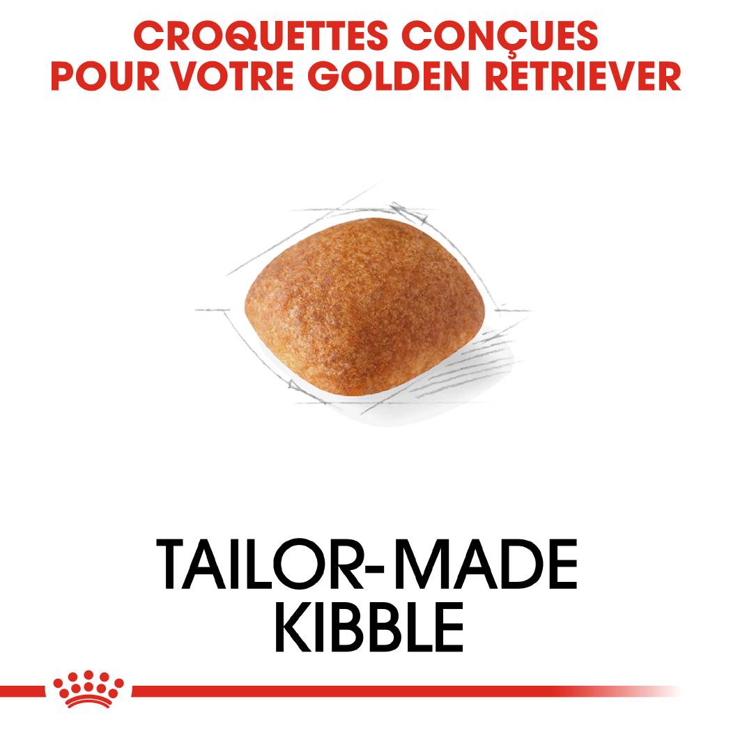 Royal Canin - Croquettes Golden Retriever Adulte - ROYAL CANIN - Image 9
