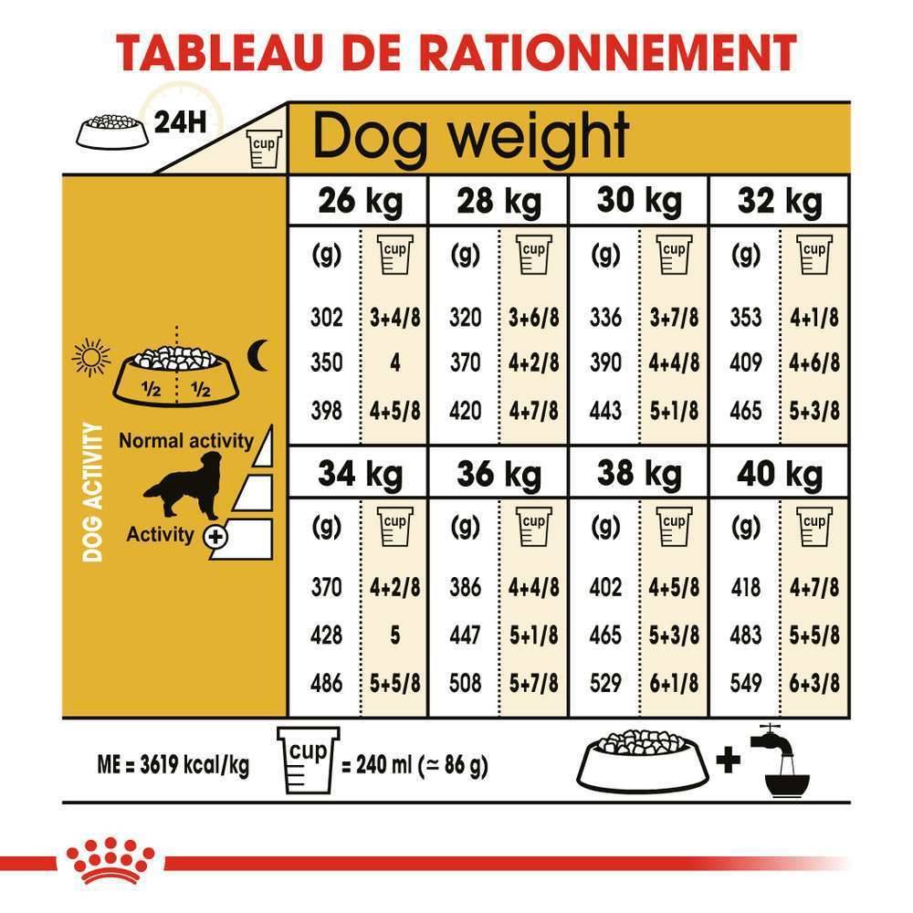 Royal Canin - Croquettes Golden Retriever Adulte - ROYAL CANIN - Image 14