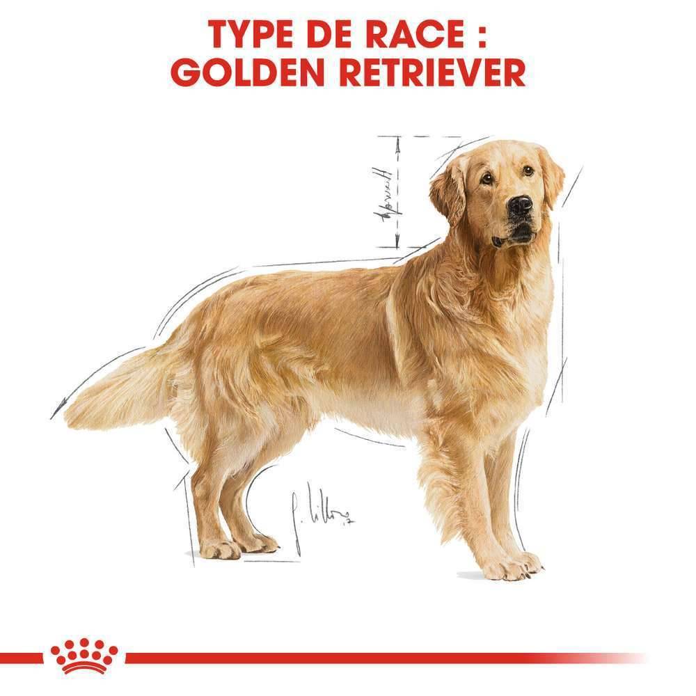 Royal Canin - Croquettes Golden Retriever Adulte - ROYAL CANIN - Image 2