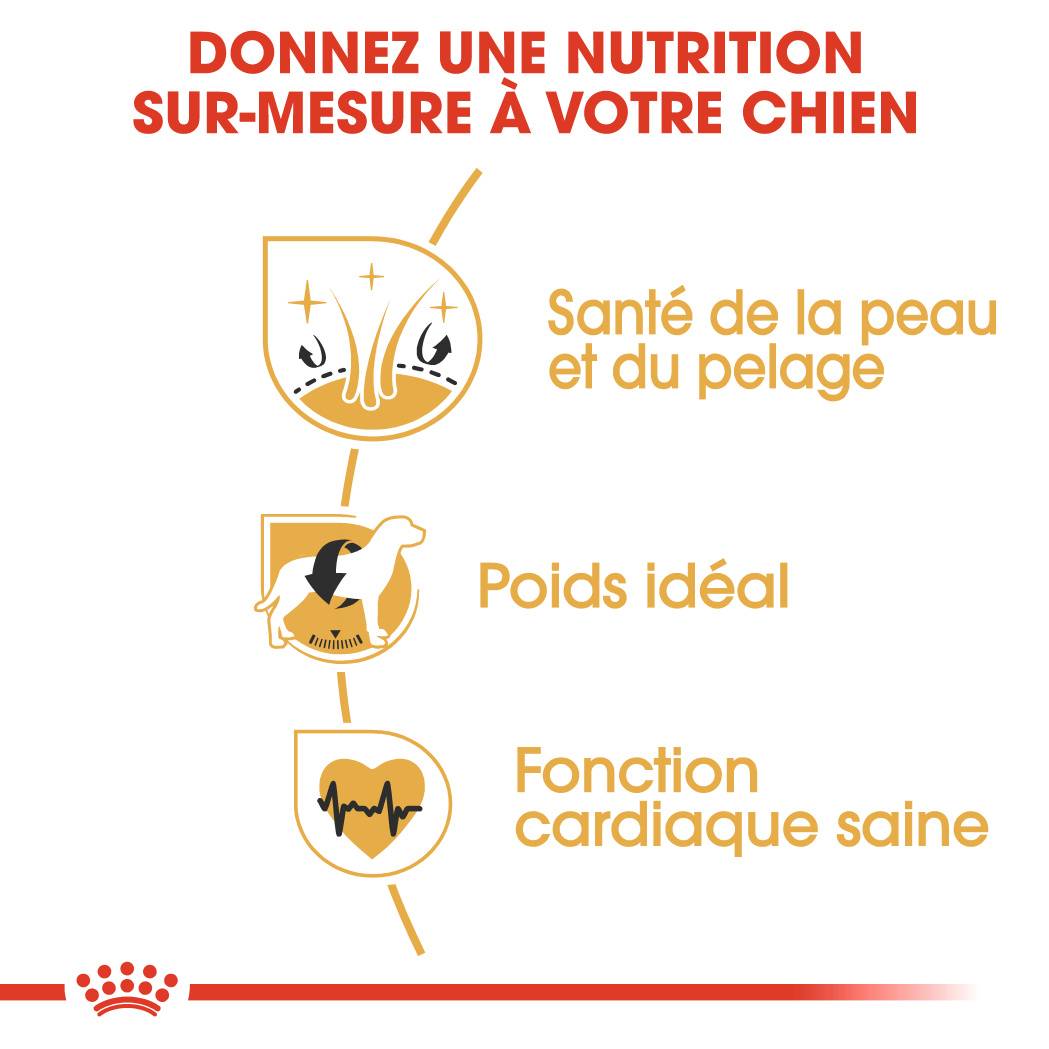 Royal Canin - Croquettes chien Cocker adulte - ROYAL CANIN - Image 3