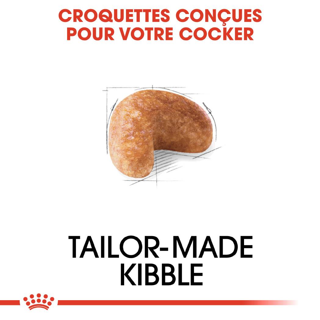 Royal Canin - Croquettes chien Cocker adulte - ROYAL CANIN - Image 4
