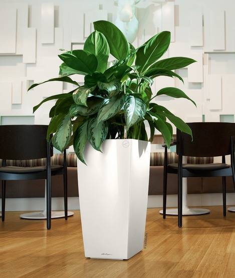Lechuza - Cubico Premium 30 blanc brillant - Kit complet - Image 1