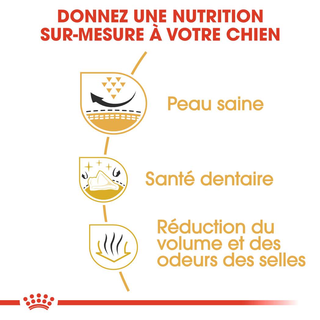 Royal Canin - Croquettes chien Shih Tzu Adulte - ROYAL CANIN - Image 2