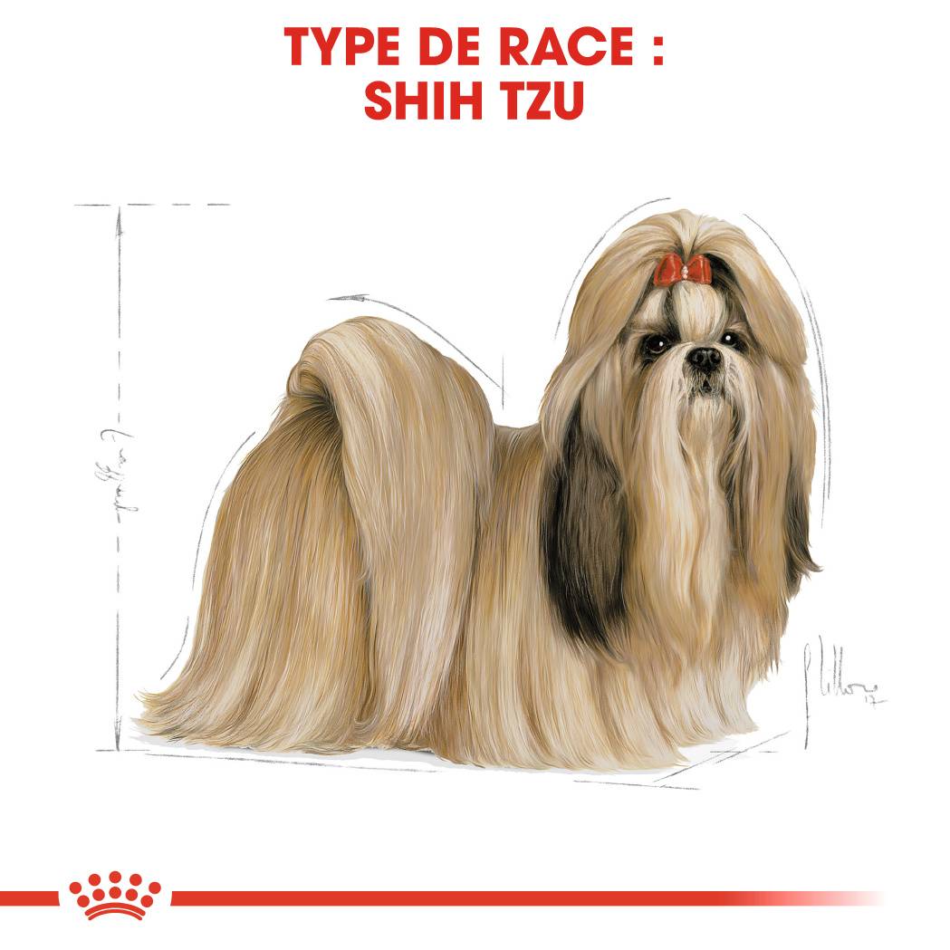 Royal Canin - Croquettes chien Shih Tzu Adulte - ROYAL CANIN - Image 5