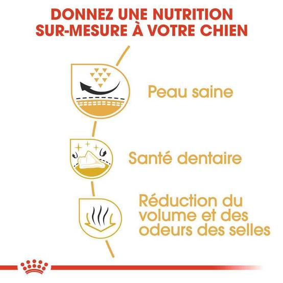 Royal Canin - Croquettes chien Shih Tzu Adulte - ROYAL CANIN - Image 11