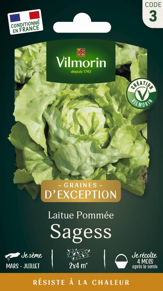 Vilmorin - Laitue Pommée Sagess serie 3 sachet graines 3 g - Vilmorin - Image 2