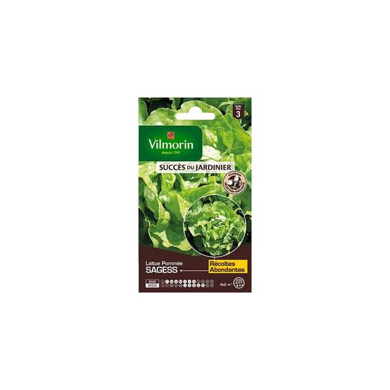 Vilmorin - Laitue Pommée Sagess serie 3 sachet graines 3 g - Vilmorin - Image 1