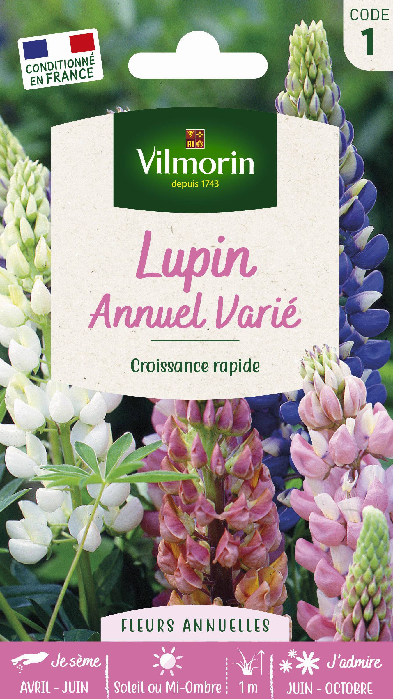 Vilmorin - Lupin annuel en mélange série 1 sachet graines 4 g - Vilmorin - Image 7