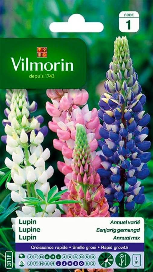 Vilmorin - Lupin annuel en mélange série 1 sachet graines 4 g - Vilmorin - Image 2